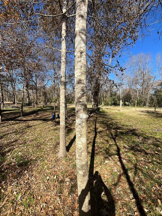 0 Mcgregor Rd, Home with 0 bedrooms, 0 bathrooms and null parking in Conroe TX | Image 6