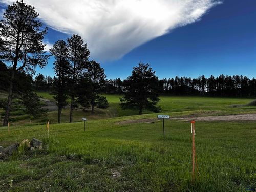 tbd-lakewood-court-Blk 6 Lot 9 Other, Hill City, SD, 57745 | Card Image