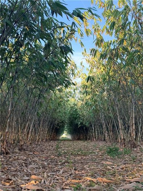 6724 5th Rd, Labelle, FL, 33935 | Card Image