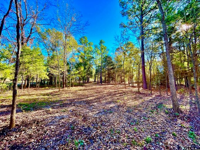 000 Grand View Dr, Home with 0 bedrooms, 0 bathrooms and null parking in Athens TX | Image 13