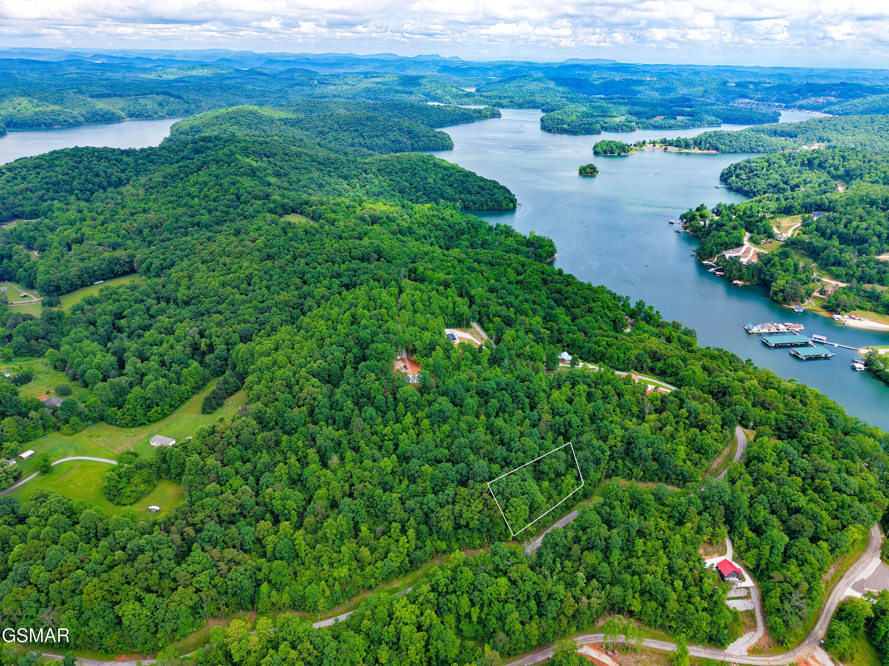 Land in La Follette 2