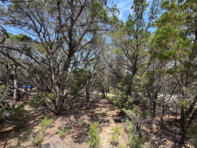 6802 Brewer Cv, Home with 0 bedrooms, 0 bathrooms and null parking in Lago Vista TX | Image 6