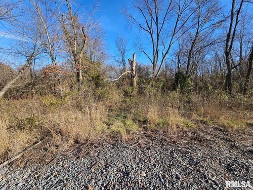 0000 State Route 37, Bonnie, IL, 62816 | Card Image