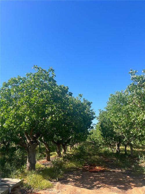 1 Road 36, Madera, CA, 93636 | Card Image