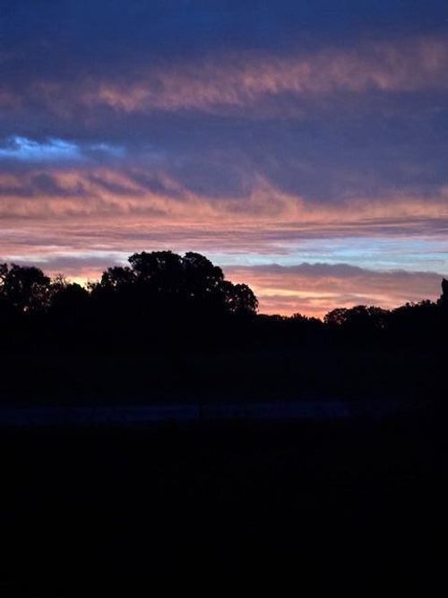 25 Acres S 90th Road, Flemington, MO, 65650 | Card Image