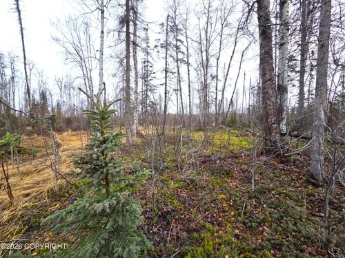 17669 E Yeldarb Ave, Talkeetna, AK, 99676-3500 | Card Image