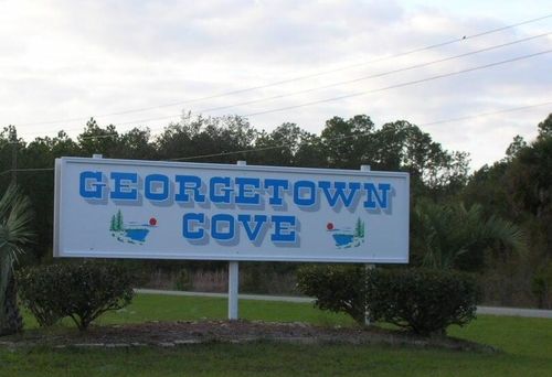 402 Tropical Dr, Georgetown, FL, 32139 | Card Image