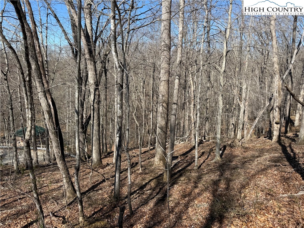 Land in Piney Creek 3