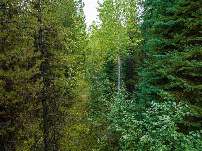 775 Trail Creek Rd, Home with 0 bedrooms, 0 bathrooms and null parking in Polebridge MT | Image 13