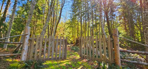 Lot 8 Mountain Rd, Gambier Island, BC, V0N | Card Image