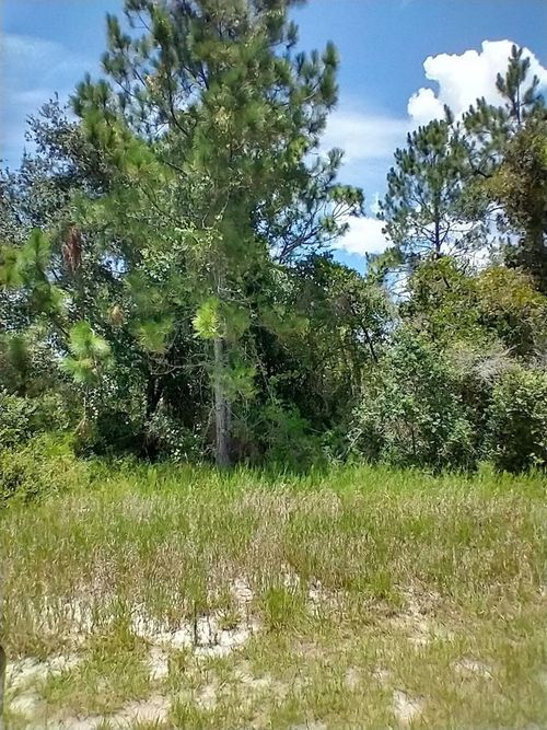 1322 Tallahassee Ct, KISSIMMEE, FL, 34759-4618 | Card Image