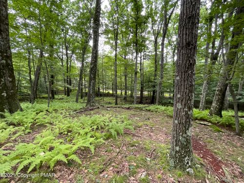 Lot 63 Skyline Drive, Canadensis, PA, 18325 | Card Image