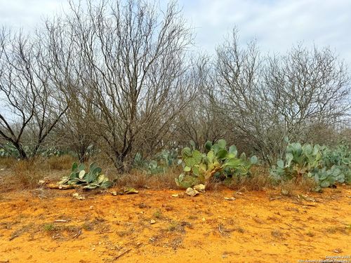 TBD Old Hwy 81 Lot 5, Moore, TX, 78057 | Card Image