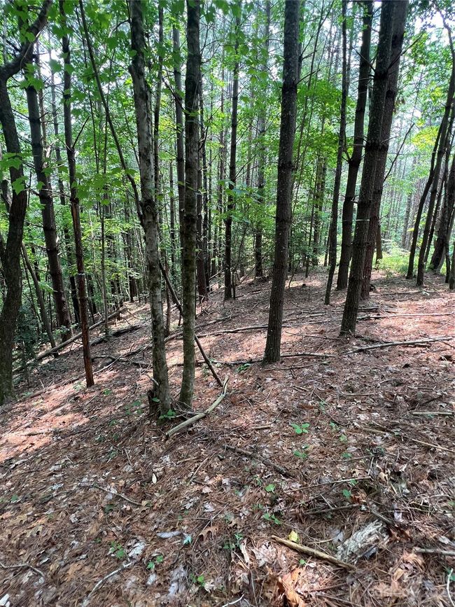 29 - 9589 Shortoff View Ter, Home with 0 bedrooms, 0 bathrooms and null parking in Nebo NC | Image 12