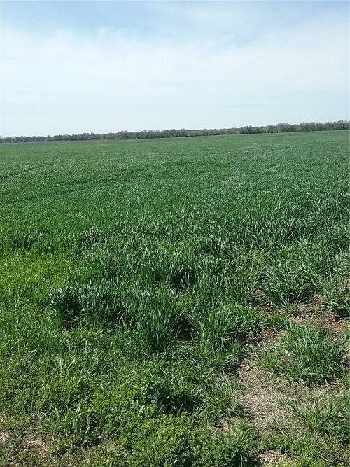 TBD Dales Acre Rd, Milford, TX, 76670 | Card Image
