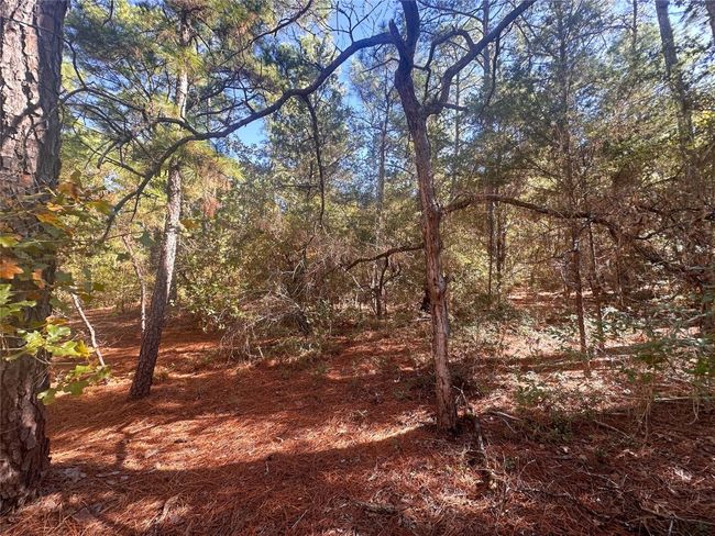 000 Pine Hollow Dr, Home with 0 bedrooms, 0 bathrooms and null parking in Bastrop TX | Image 4