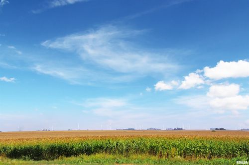 722 Springfield Rd, Delavan, IL, 61734-1144 | Card Image