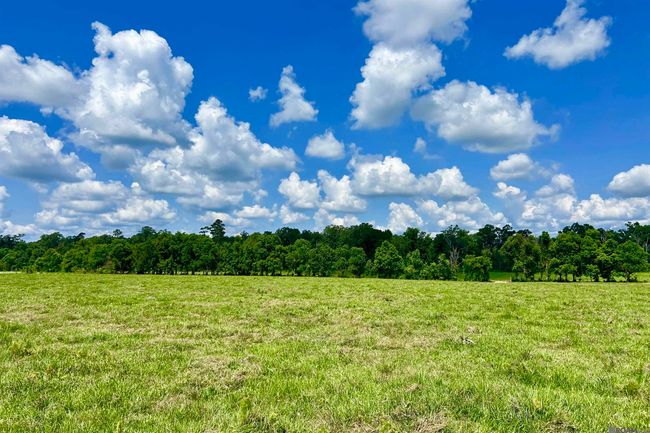 02 Carrier Rd, Home with 0 bedrooms, 0 bathrooms and null parking in Pine Grove LA | Image 5