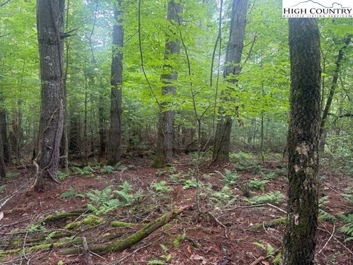 TBD Nikanor Rd, West Jefferson, NC, 28694 | Card Image