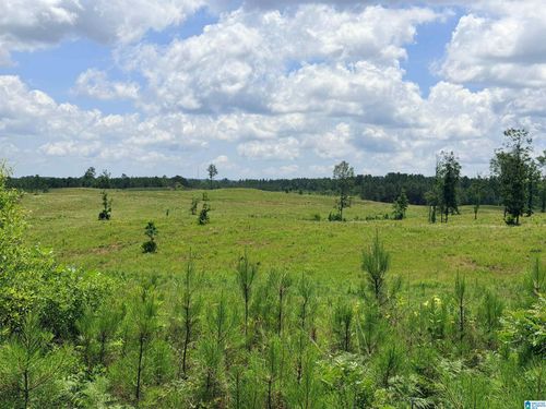 1-561 Lakewood Ln, Columbiana, AL, 35051 | Card Image