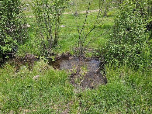 NHN Osprey Rd, Helmville, MT, 59843 | Card Image