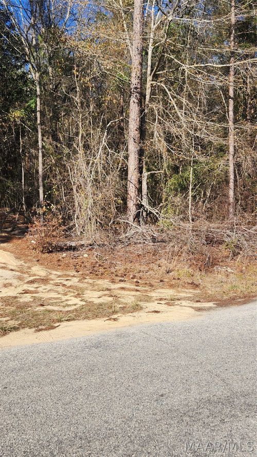 15 E Lakeshore Dr, Tuskegee, AL, 36083 | Card Image