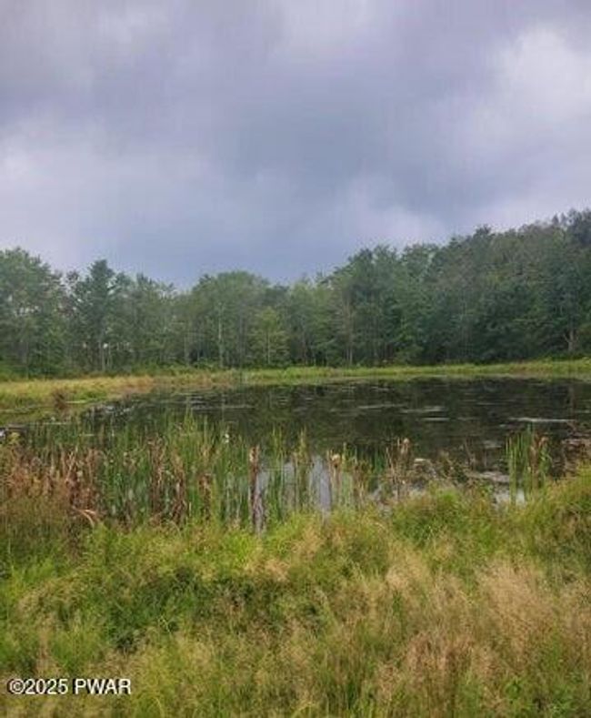 Pond 2 | Image 6