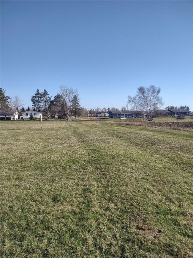 East property line looking north | Image 4