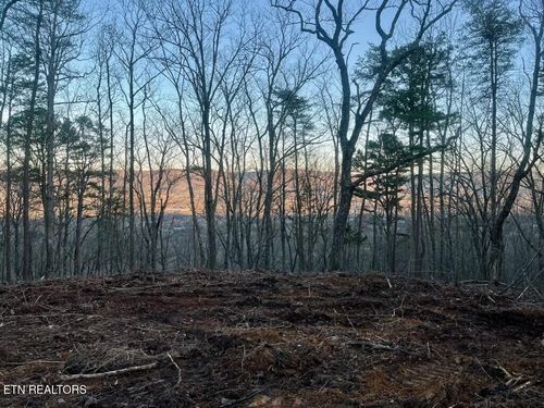 0 Old Spencer Road - 198 Acres, Pikeville, TN, 37367 | Card Image