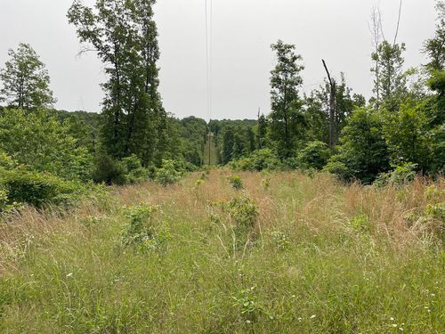 0000 Highway Ak, Cabool, MO, 65689 | Card Image