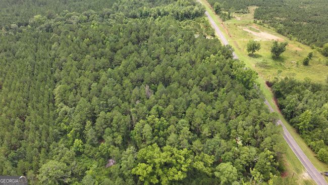 0 Boiling Springs Rd, Home with 0 bedrooms, 0 bathrooms and null parking in Soperton GA | Image 10