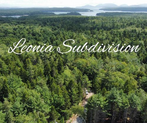 Lot #9 Leonia Road, Hancock, ME, 04640 | Card Image