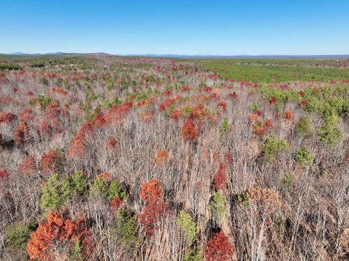 0 Lemon Ridge Ln, Appomattox, VA, 24522 | Card Image