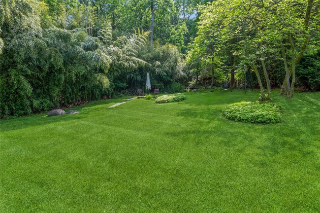 Lush level yard. | Image 32