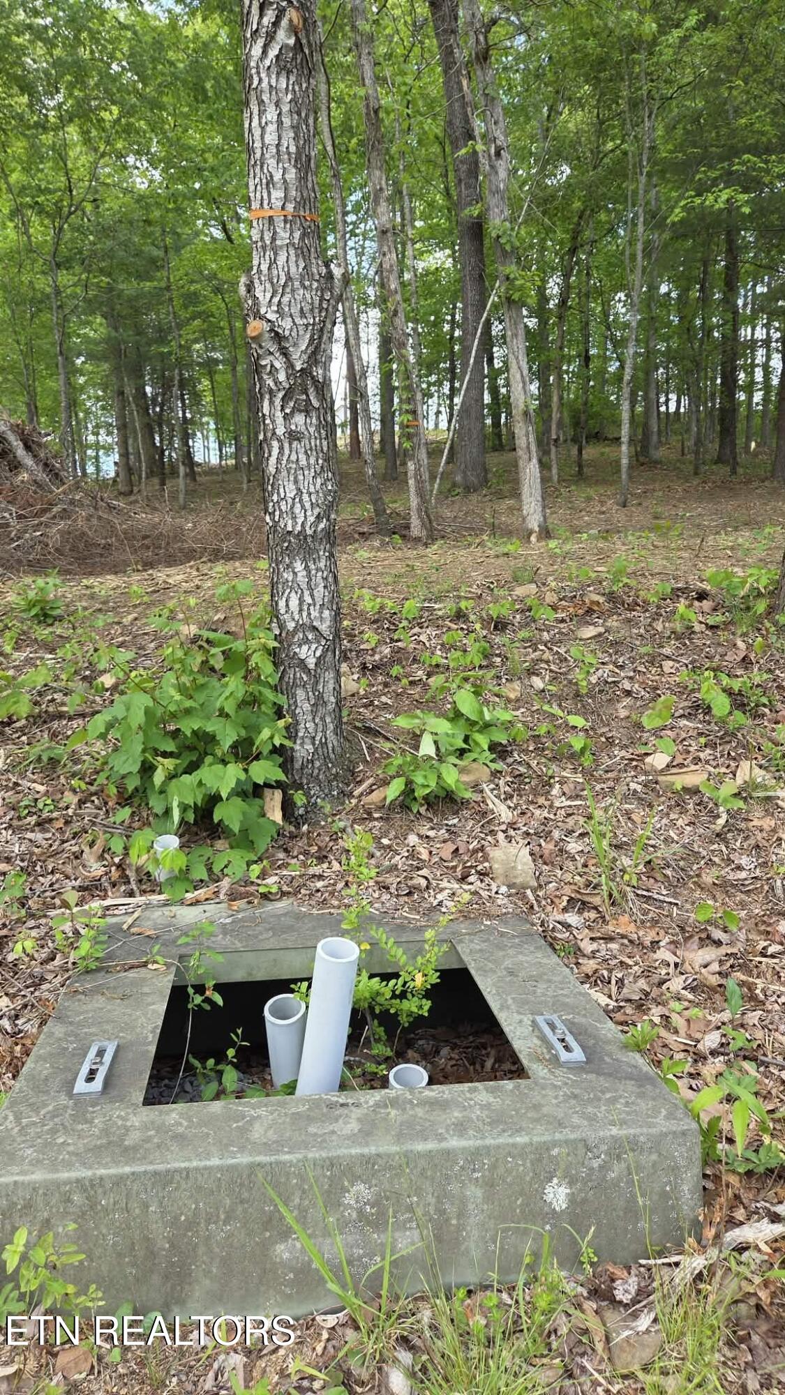 Land in Crossville 5