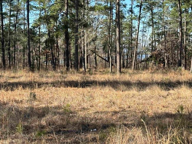 TRACT-1-24 - 024 Private Road 6028, Home with 0 bedrooms, 0 bathrooms and null parking in Brookeland TX | Image 7