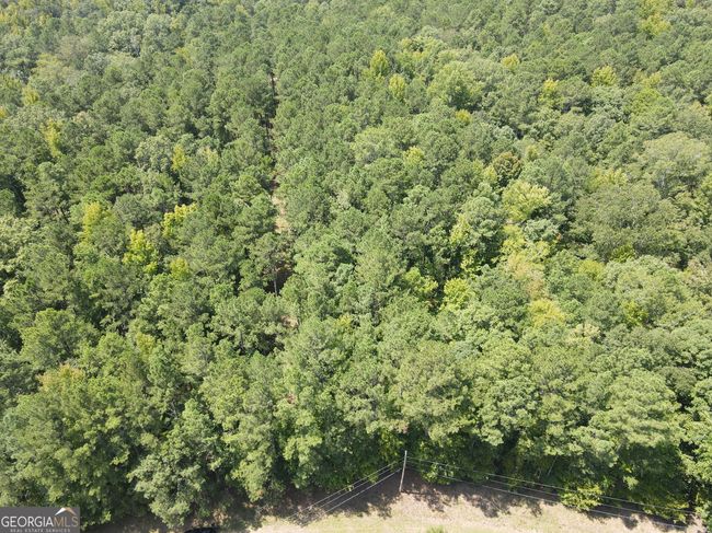 LOTT 22 Apalachee Woods Dr, Home with 0 bedrooms, 0 bathrooms and null parking in Buckhead GA | Image 17