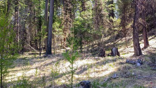 Lot 7 Whispering Pines, Fortine, MT, 59918 | Card Image