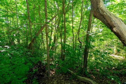 0.33 Acres on S 4th St, Bayfield, WI, 54814 | Card Image