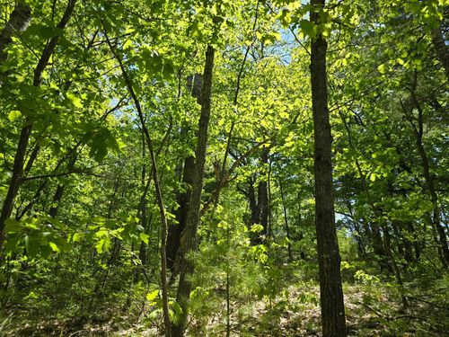 00 E Long Lake Road, Haring Charter Township, MI, 49601 | Card Image