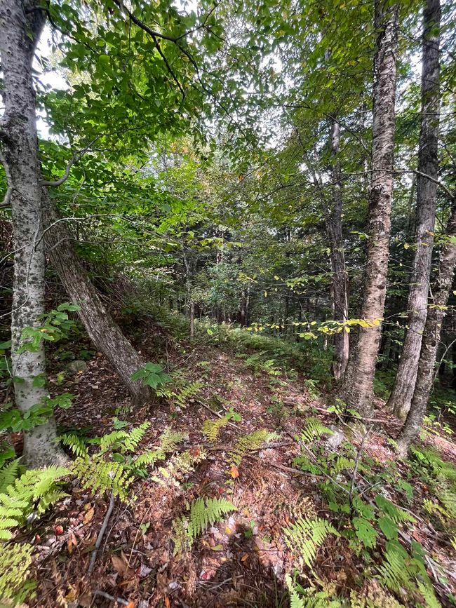 0 Wymans Falls Rd, Home with 0 bedrooms, 0 bathrooms and null parking in Chester VT | Image 5