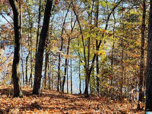 22-0 Ranch Marina Rd, Pell City, AL, 35128 | Card Image