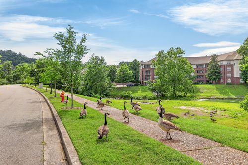 608 Arkland Pl, Nashville, TN, 37215-6131 | Card Image