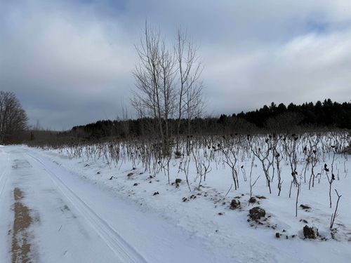 VL W Houghton Lake Road, Forest Township, MI, 49651 | Card Image