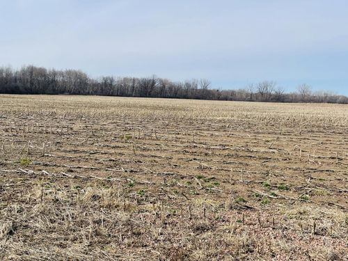 20 Acres N Hume Avenue, Marshfield, WI, 54449 | Card Image