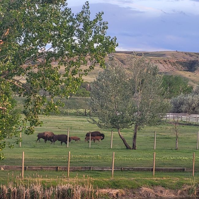 1140 5 Th Ave, House other with 3 bedrooms, 2 bathrooms and null parking in Vaughn MT | Image 72