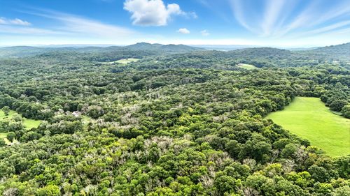 10515 Paw Paw Springs Rd, Arrington, TN, 37014 | Card Image
