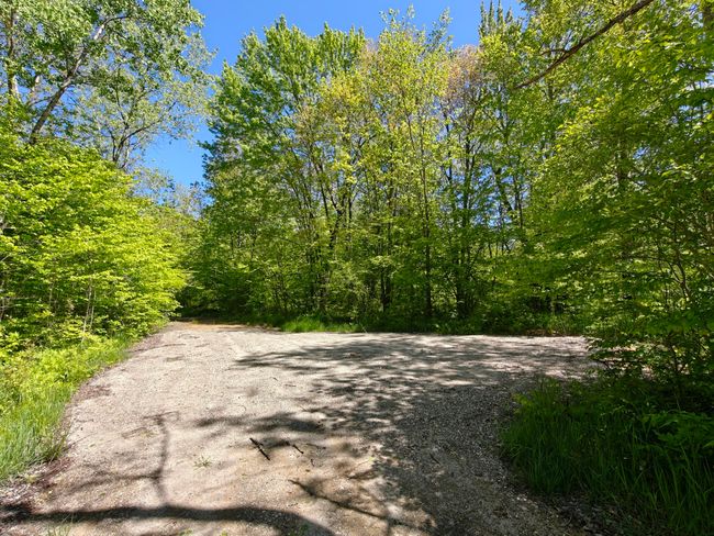 10830 3 Mile Rd, Home with 0 bedrooms, 0 bathrooms and null parking in Branch MI | Image 5