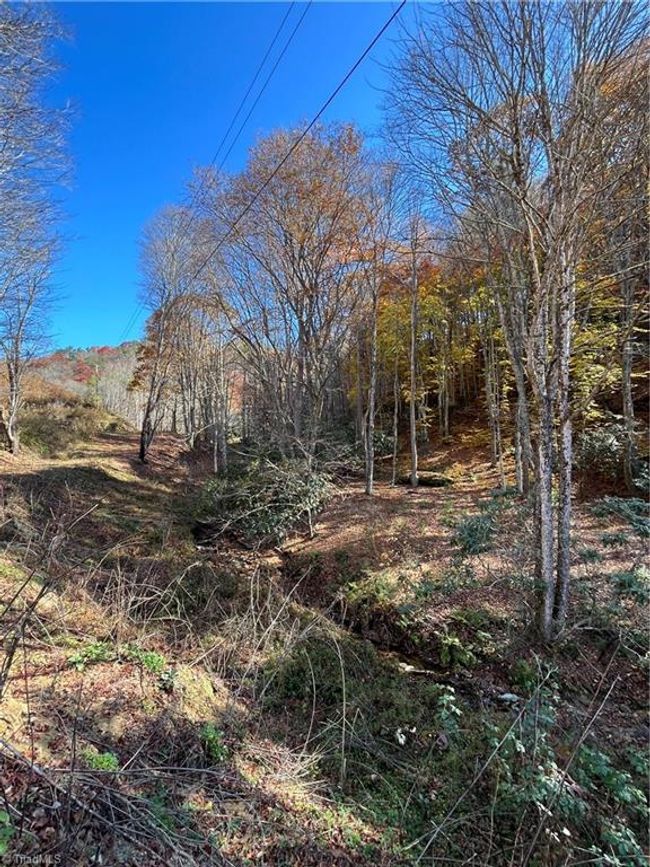 1972 Big Horse Creek Rd, House other with 3 bedrooms, 2 bathrooms and null parking in Lansing NC | Image 15