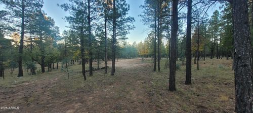 22-2857 Sparrow Dr, Happy Jack, AZ, 86024 | Card Image